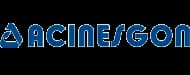 Acinesgon