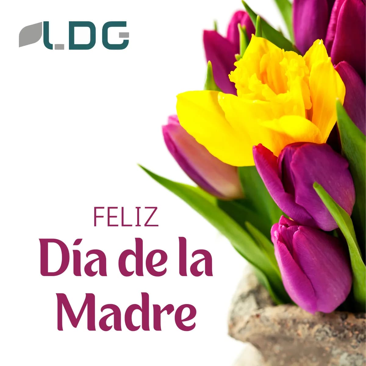 ¡Feliz Día de la Madre!